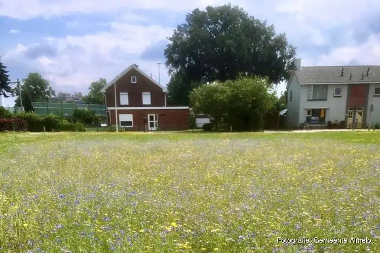Bloemenlinten in Almelose bermen