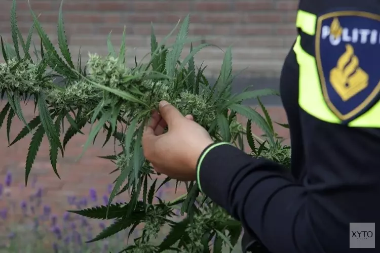 Veroordeling voor wietplantage, vrijspraak voor gijzeling en mishandeling