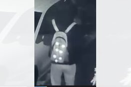 Auto’s in brand, politie zoekt dader(s)