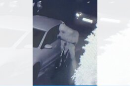 Auto’s in brand, politie zoekt dader(s)