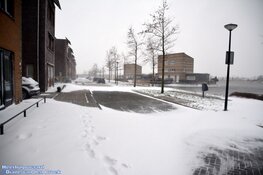 Winterse zondag in beeld