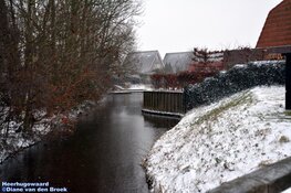 Winterse zondag in beeld