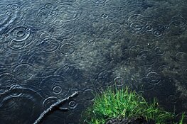 Kou wordt ingeruild voor regen en wind