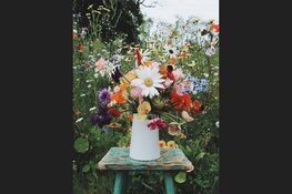 Een ‘groene’ uitvaart