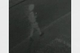 Gezocht: Vernieling Het Hooghuis