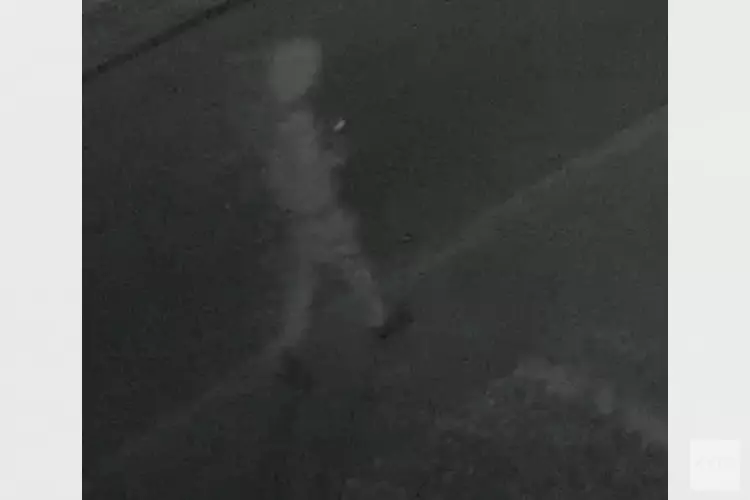 Gezocht: Vernieling Het Hooghuis