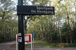 Heracles pakt bij Jong PSV derde zege op rij