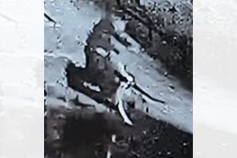 Gezocht: Brandstichting Vinkenstraat