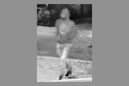 Gezocht: Vernieling De Ral