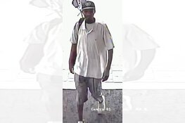 Gezocht: Winkeldiefstal Apollolaan