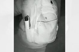 Gezocht: Diefstal – Oostmarsumsestraat