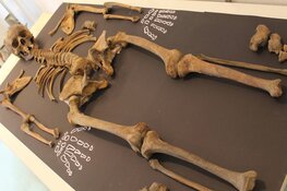 De Nationale Archeologiedagen komen eraan