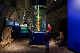 Beleef de zomervakantie in Fort Kijkduin