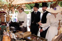 Groots Curiosa en Brocante evenement in Diepenheim