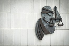 Eis: 10 jaar cel en tbs met dwangverpleging voor poging moord op ex-partner